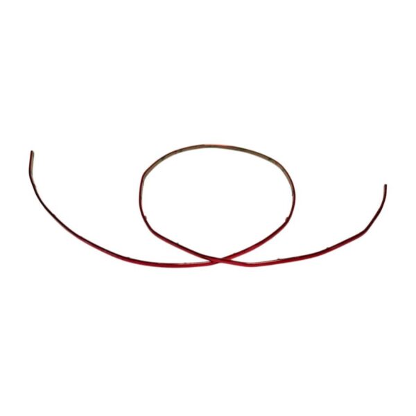 Decorative strip RED for Inmotion V10